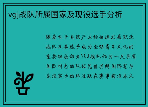 vgj战队所属国家及现役选手分析